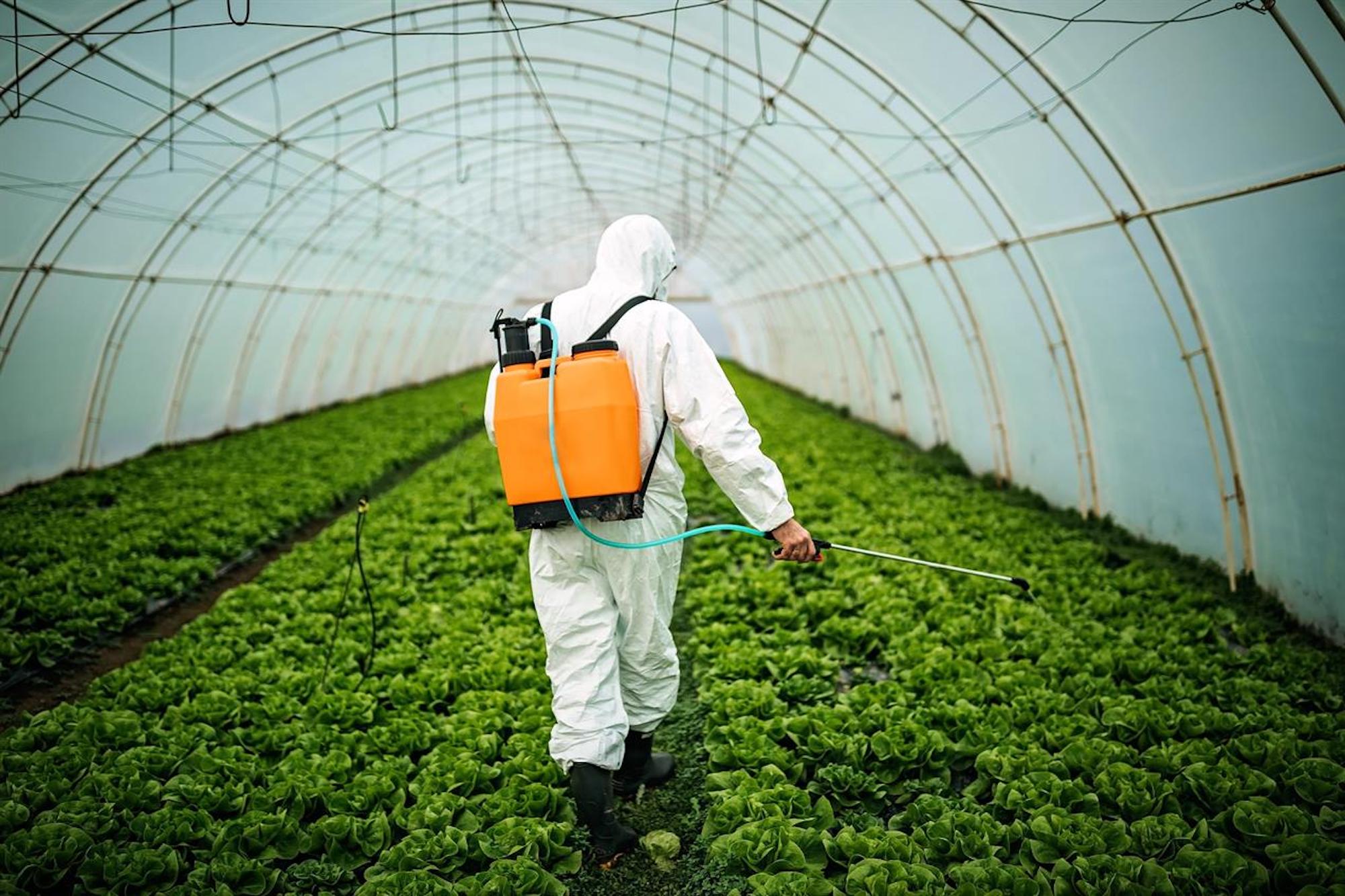 Riduzione Pesticidi